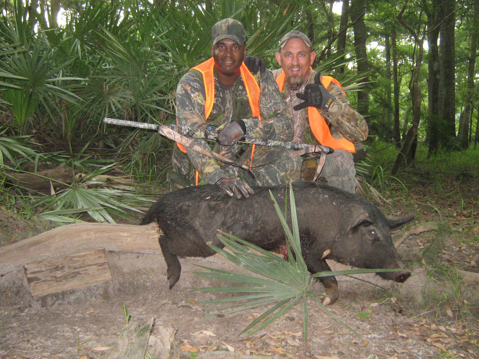 Feral Hog Hunting - Fort Stewart - iSportsman